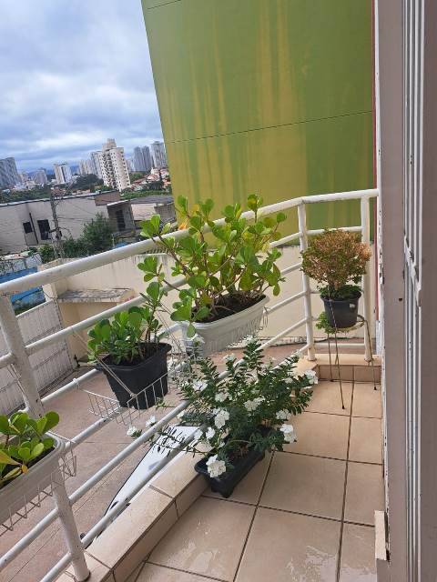 Apartamento, 3 quartos, 83 m² - Foto 6