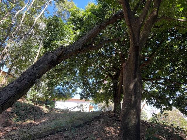 Loteamento e Condomínio, 10000 m² - Foto 8